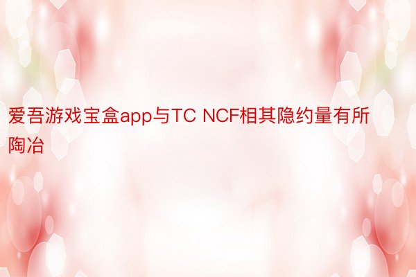 爱吾游戏宝盒app与TC NCF相其隐约量有所陶冶